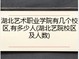 湖北艺术职业学院有几个校区,有多少人(湖北艺院校区及人数)