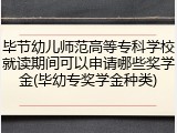 毕节幼儿师范高等专科学校就读期间可以申请哪些奖学金(毕幼专奖学金种类)