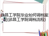 武昌工学院毕业如何调档案呢(武昌工学院调档流程)