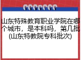 山东特殊教育职业学院在哪个城市，是本科吗，第几批(山东特教院专科批次)