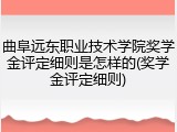 曲阜远东职业技术学院奖学金评定细则是怎样的(奖学金评定细则)