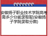 安徽扬子职业技术学院高考需多少分能录取呢(安徽扬子学院录取分数)
