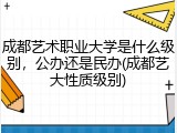 成都艺术职业大学是什么级别，公办还是民办(成都艺大性质级别)