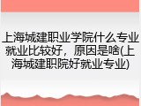 上海城建职业学院什么专业就业比较好，原因是啥(上海城建职院好就业专业)