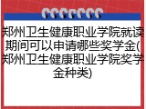 郑州卫生健康职业学院就读期间可以申请哪些奖学金(郑州卫生健康职业学院奖学金种类)