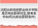 沈阳北软信息职业技术学院是否有在职研究生,报考条件如何(北软在职研条件)