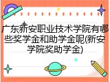广东新安职业技术学院有哪些奖学金和助学金呢(新安学院奖助学金)