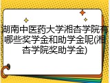 湖南中医药大学湘杏学院有哪些奖学金和助学金呢(湘杏学院奖助学金)
