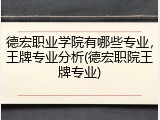 德宏职业学院有哪些专业，王牌专业分析(德宏职院王牌专业)