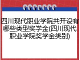 四川现代职业学院共开设有哪些类型奖学金(四川现代职业学院奖学金类别)