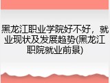 黑龙江职业学院好不好，就业现状及发展趋势(黑龙江职院就业前景)