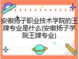 安徽扬子职业技术学院的王牌专业是什么(安徽扬子学院王牌专业)