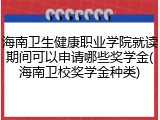 海南卫生健康职业学院就读期间可以申请哪些奖学金(海南卫校奖学金种类)