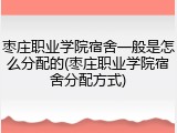 枣庄职业学院宿舍一般是怎么分配的(枣庄职业学院宿舍分配方式)