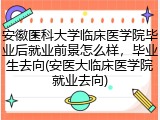 安徽医科大学临床医学院毕业后就业前景怎么样，毕业生去向(安医大临床医学院就业去向)