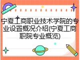 宁夏工商职业技术学院的专业设置概况介绍(宁夏工商职院专业概览)