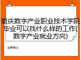 重庆数字产业职业技术学院毕业可以找什么样的工作(数字产业就业方向)