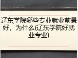 辽东学院哪些专业就业前景好，为什么(辽东学院好就业专业)