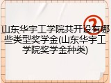 山东华宇工学院共开设有哪些类型奖学金(山东华宇工学院奖学金种类)