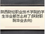 陕西财经职业技术学院的学生毕业都怎么样了(陕财职院毕业去向)