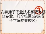 安徽扬子职业技术学院有哪些专业，几个校区(安徽扬子学院专业校区)