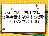 河北石油职业技术学院一年奖学金最多能拿多少(河北石化奖学金上限)