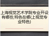 上海视觉艺术学院专业开设有哪些,特色在哪(上视觉专业特色)