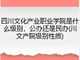 四川文化产业职业学院是什么级别，公办还是民办(川文产院级别性质)
