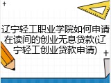辽宁轻工职业学院如何申请在读间的创业无息贷款(辽宁轻工创业贷款申请)