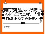 湖南商务职业技术学院毕业后就业前景怎么样，毕业生去向(湖南商务职院就业去向)