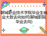 聊城职业技术学院毕业生就业大致去向如何(聊城职院毕业去向)