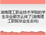 湖南理工职业技术学院的学生毕业都怎么样了(湖南理工职院毕业生去向)