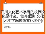 四川文化艺术学院的校园文化是什么，简介(四川文化艺术学院校园文化简介)
