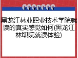 黑龙江林业职业技术学院就读的真实感觉如何(黑龙江林职院就读体验)