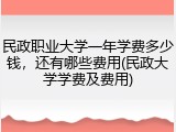 民政职业大学一年学费多少钱，还有哪些费用(民政大学学费及费用)