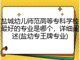 盐城幼儿师范高等专科学校最好的专业是哪个，详细阐述(盐幼专王牌专业)