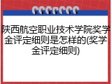 陕西航空职业技术学院奖学金评定细则是怎样的(奖学金评定细则)
