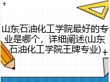 山东石油化工学院最好的专业是哪个，详细阐述(山东石油化工学院王牌专业)