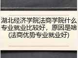 湖北经济学院法商学院什么专业就业比较好，原因是啥(法商优势专业就业好)