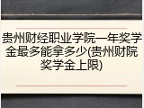 贵州财经职业学院一年奖学金最多能拿多少(贵州财院奖学金上限)