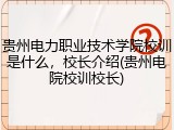 贵州电力职业技术学院校训是什么，校长介绍(贵州电院校训校长)