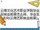 云南文化艺术职业学院毕业后就业前景怎么样，毕业生去向(云南艺职就业前景)