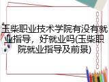 玉柴职业技术学院有没有就业指导，好就业吗(玉柴职院就业指导及前景)