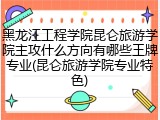 黑龙江工程学院昆仑旅游学院主攻什么方向有哪些王牌专业(昆仑旅游学院专业特色)