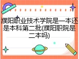 濮阳职业技术学院是一本还是本科第二批(濮阳职院是二本吗)
