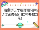上海纽约大学就读期间挂科了怎么办呢？(挂科补救方法)