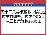天津工艺美术职业学院知名校友有哪些，校史介绍(天津工艺美院校友校史)