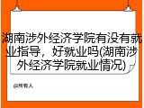 湖南涉外经济学院有没有就业指导，好就业吗(湖南涉外经济学院就业情况)