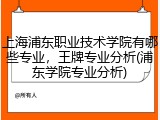 上海浦东职业技术学院有哪些专业，王牌专业分析(浦东学院专业分析)