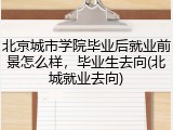北京城市学院毕业后就业前景怎么样，毕业生去向(北城就业去向)